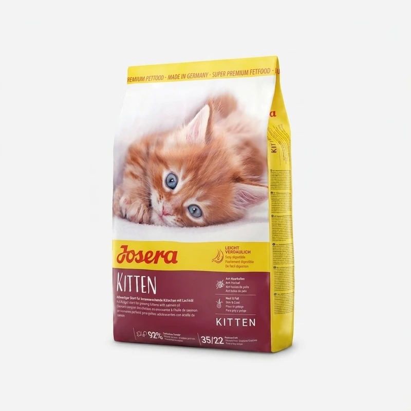 Kitten